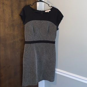 Ann Taylor LOFT dress. Zippered back